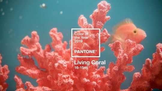 Living Coral - Pantone boja 2019.godine