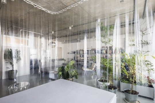Obnova jedinstvenog stana koji predstavlja mesto gde se sreću svet knjiga i zelenilo